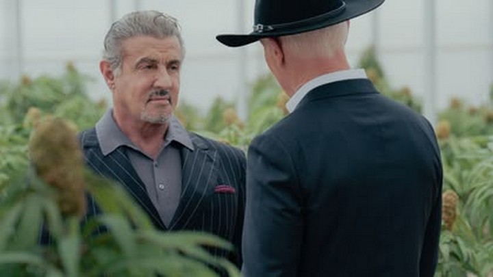 Tulsa King — Reconstruction